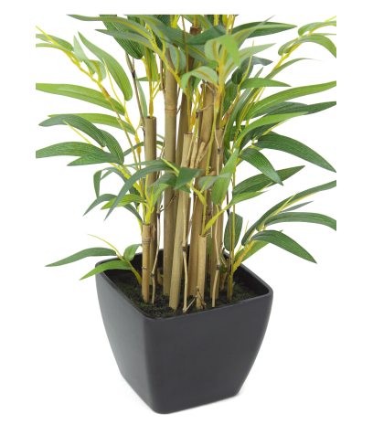 Pot
