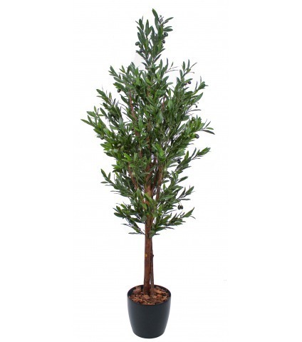 Olivier andalou artificiel