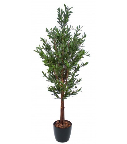 Olivier andalou artificiel