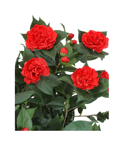 Camélia artificiel rouge