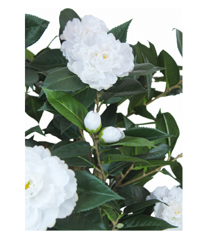 Petit camélia artificiel blanc