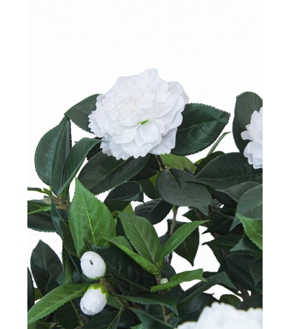 Petit camélia artificiel blanc