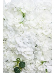 Mur de roses artificielles blanches