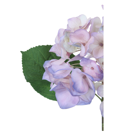 Hydrangée artificielle rose bleutée