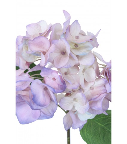 Hydrangée artificielle rose bleutée