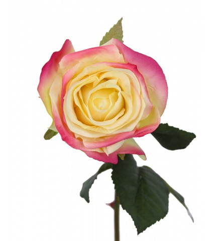 Rose artificielle espérance