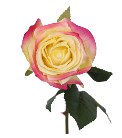 Rose artificielle espérance