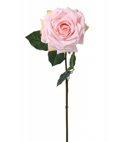 Rose artificielle New Dawn