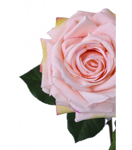 Rose artificielle New Dawn