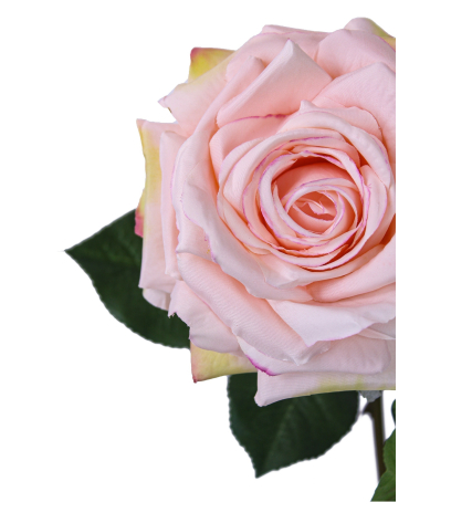 Rose artificielle New Dawn