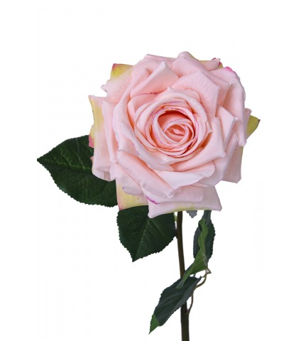 Rose artificielle New Dawn