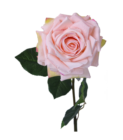 Rose artificielle New Dawn