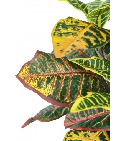 Grand croton artificiel en pot