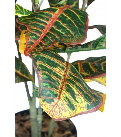 Grand croton artificiel en pot