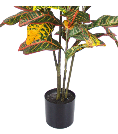 Pot