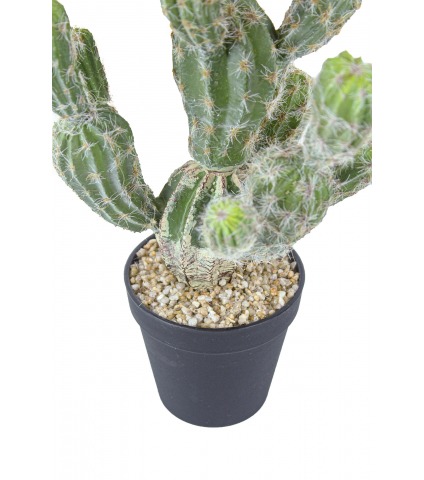 Pot