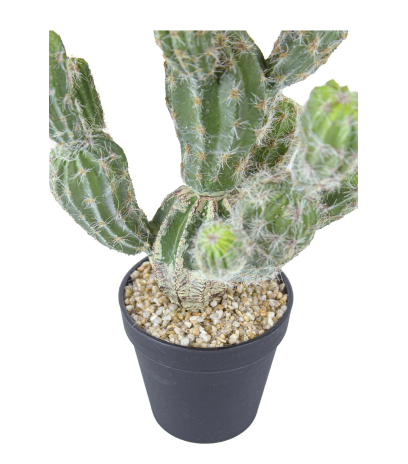 Pot