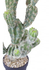 Echinocactus artificiel boutures