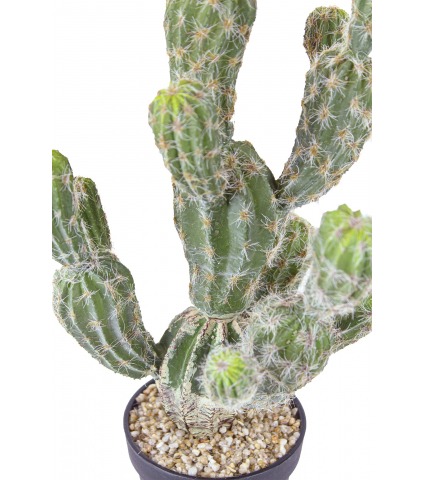 Echinocactus artificiel boutures