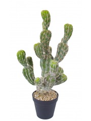 Echinocactus artificiel boutures