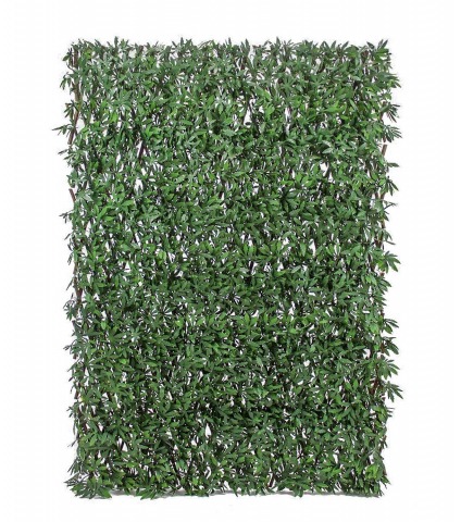 Treillis extensible aralia