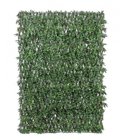 Treillis extensible aralia