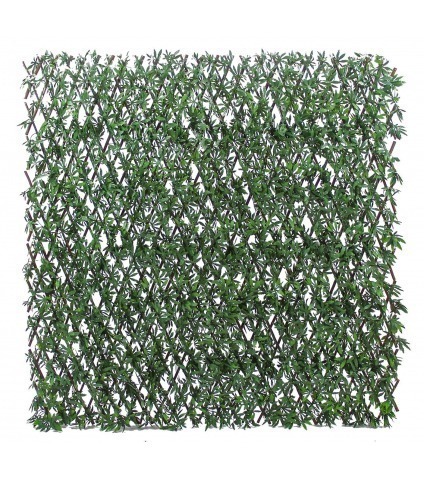 Treillis extensible aralia