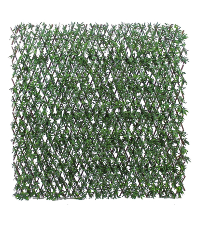 Treillis extensible aralia