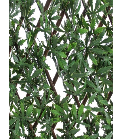 Treillis extensible aralia