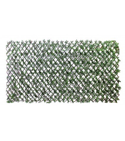 Treillis extensible aralia