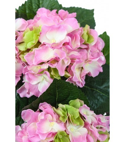 Hortensia artificiel rose blanc