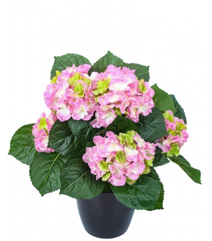 Hortensia artificiel rose blanc