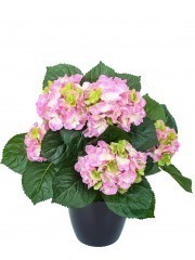 Hortensia artificiel rose blanc