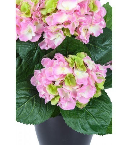 Hortensia artificiel rose blanc