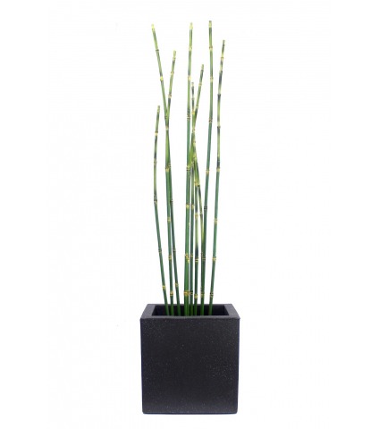 Pot cubique gris anthracite