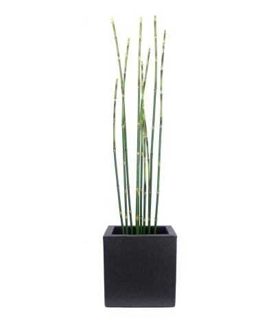 Pot cubique gris anthracite