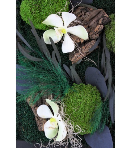 Grand tableau végétal stabilisé Saint-Lô