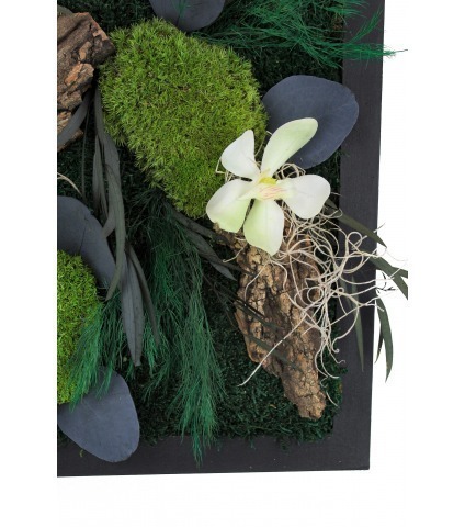 Grand tableau végétal stabilisé Saint-Lô