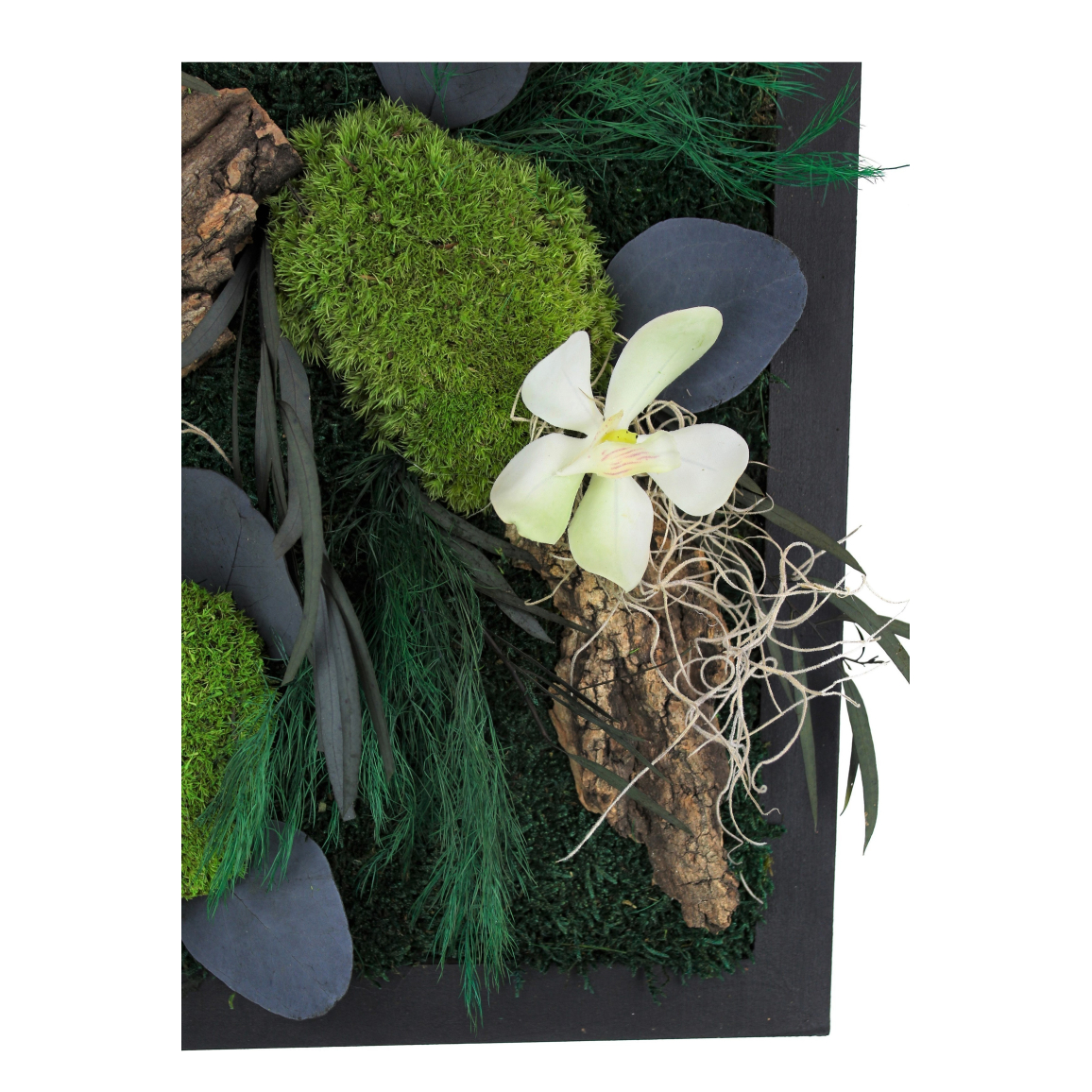 Ortisgreen HOH! Duo Smart, 2 Tableros para Plantas DIY en Plástico ABS Gris para 12 Plantas, Incluye Soporte de Acero Inoxidable para Dos HOH! el Sustrato Natural (Esfagno) e Instrucciones Ortisgreen HOH! Duo Smart, 2 Tableros para Plantas DIY en Plástico ABS Gris para 12 Plantas, Incluye Soporte de Acero Inoxidable para Dos HOH! el Sustrato Natural (Esfagno) e Instrucciones