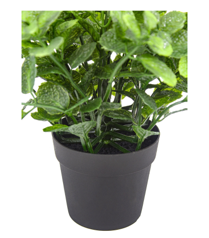 Pot