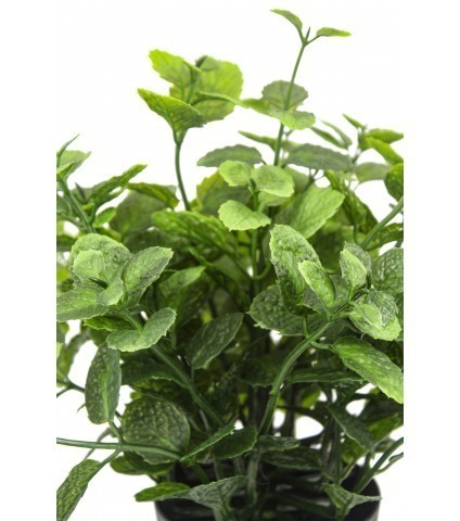 Herbe aromatique artificielle menthe