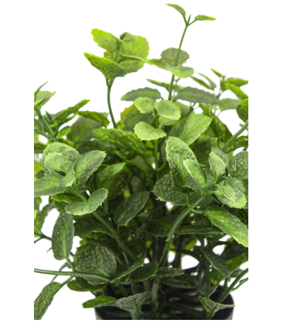 Herbe aromatique artificielle menthe