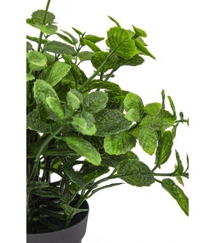 Herbe aromatique artificielle menthe