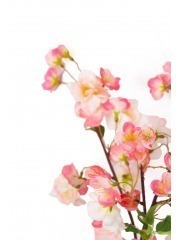 Rameau de cerisier artificiel rose
