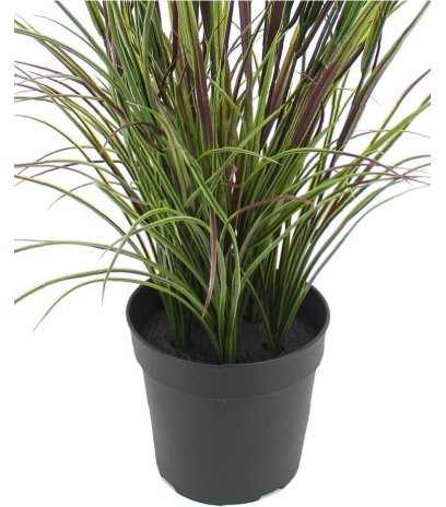 Pot