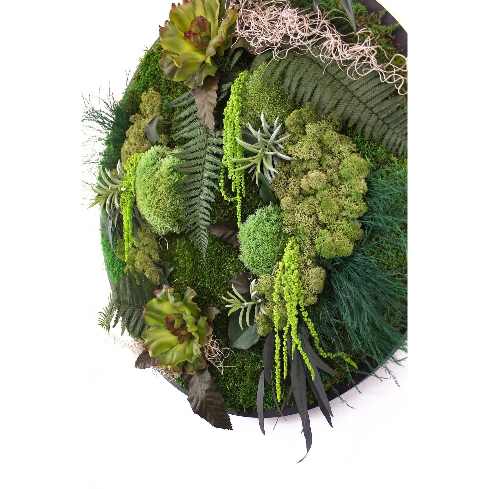 hypervenom stabilisé