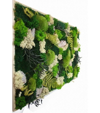 Tableau végétal stabilisé Falaise