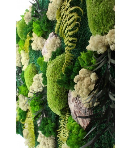 Tableau végétal stabilisé Falaise