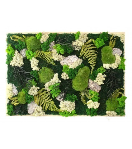 Tableau végétal stabilisé Falaise