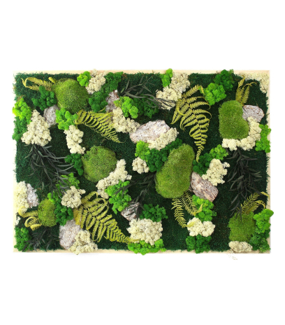 Tableau végétal stabilisé Falaise